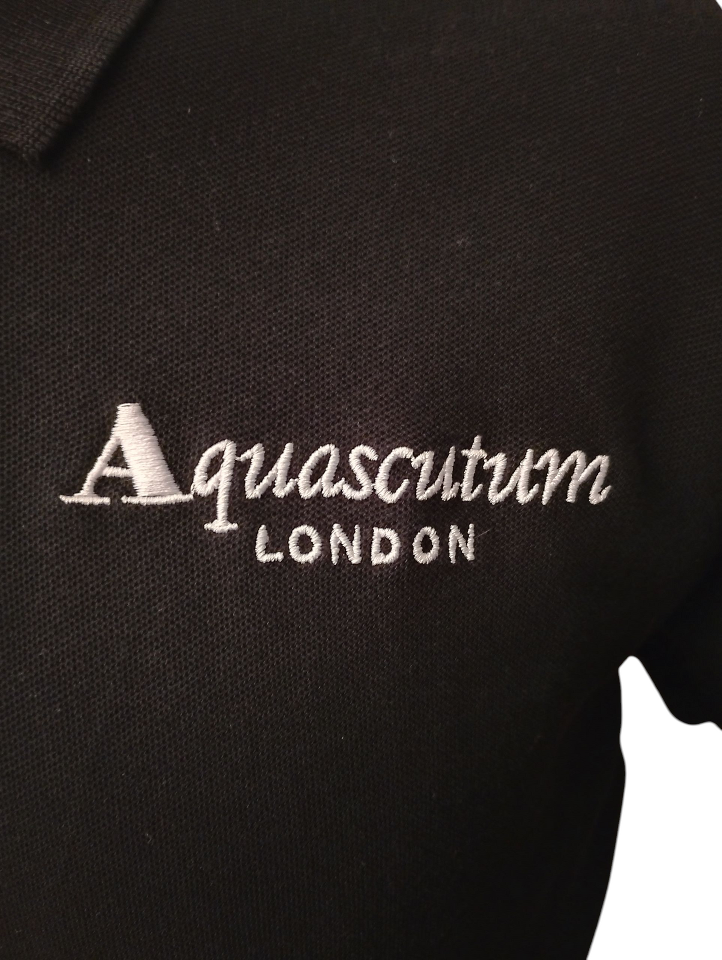 AQUASCUTUM POLO